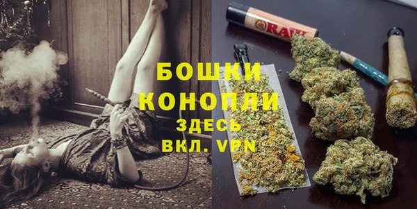 МДПВ Нея
