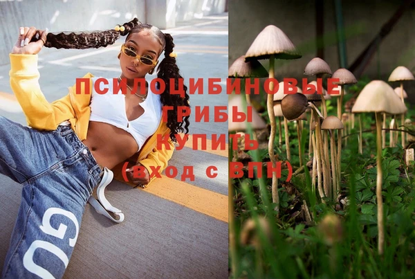 МДПВ Нея